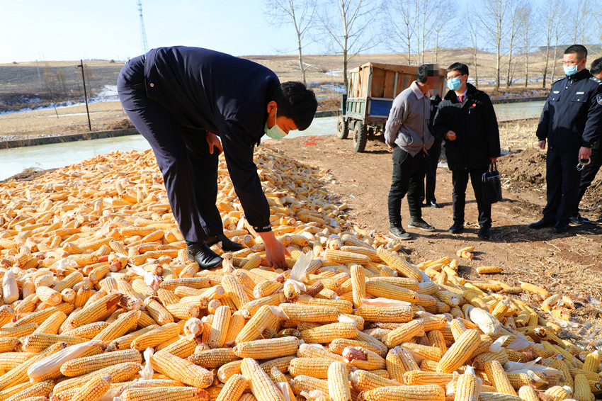 让温暖阳光 执行始于春天