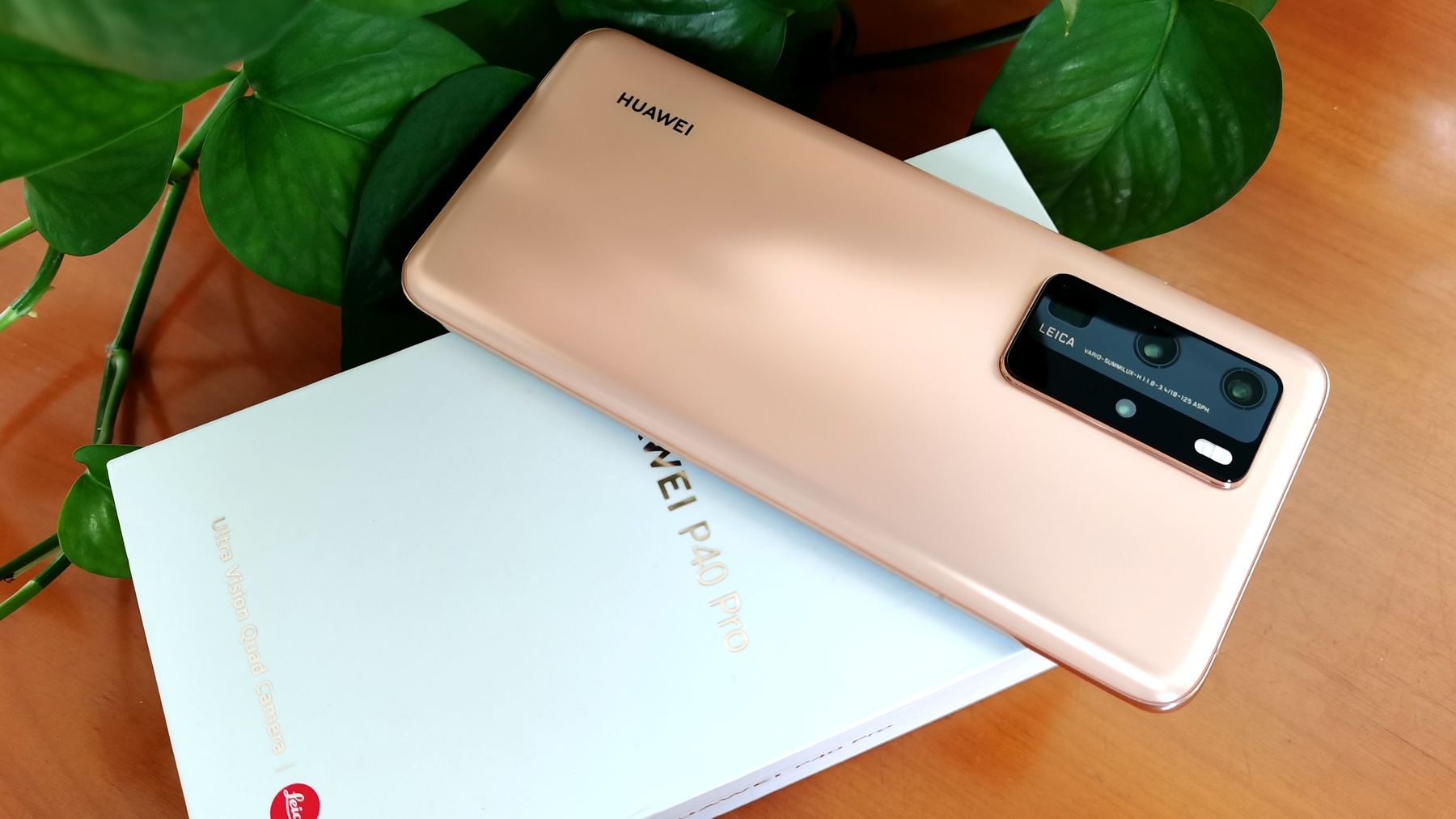 p40pro多场景拍照测试或许可以给你足够的信心和勇气随手拍