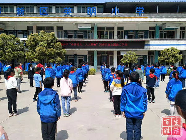 �ɶ���������Ӣ��Сѧ��չ��ɭ�ַ�������������������