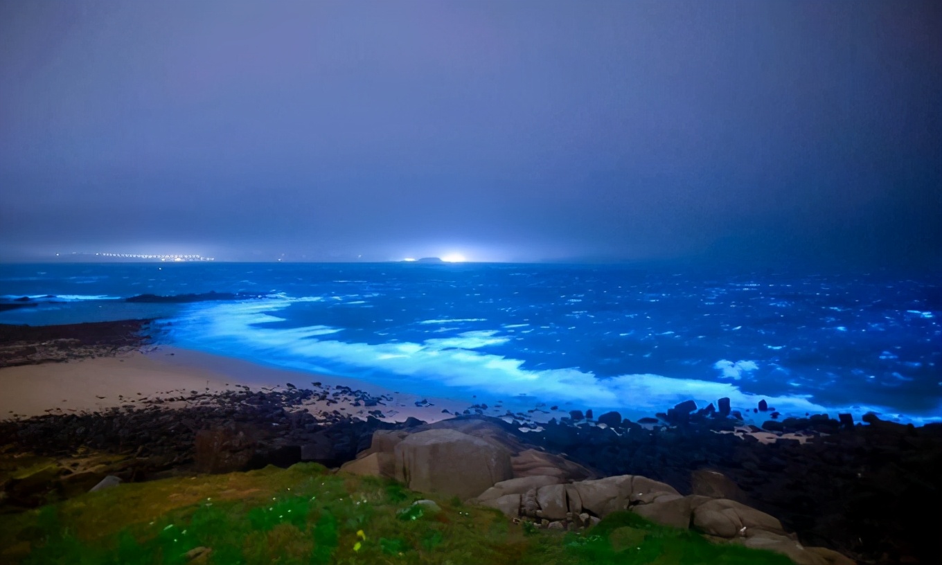 厦门蓝眼泪奇观引发网红效应上千游客深夜守候在环岛路海边