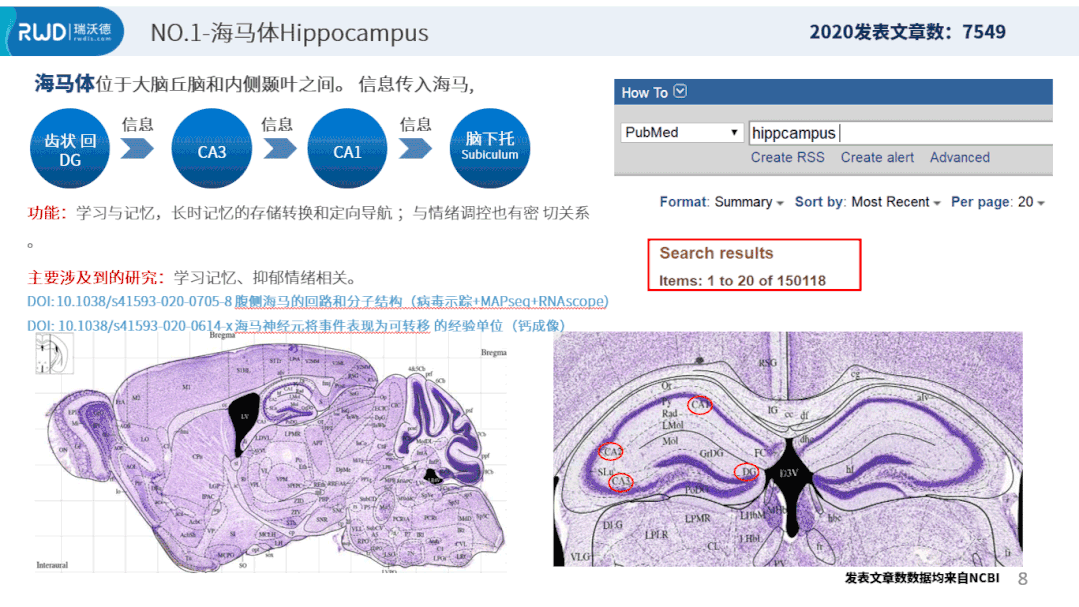 重磅！5重干货免费领！助你开启2021神经科学新征程