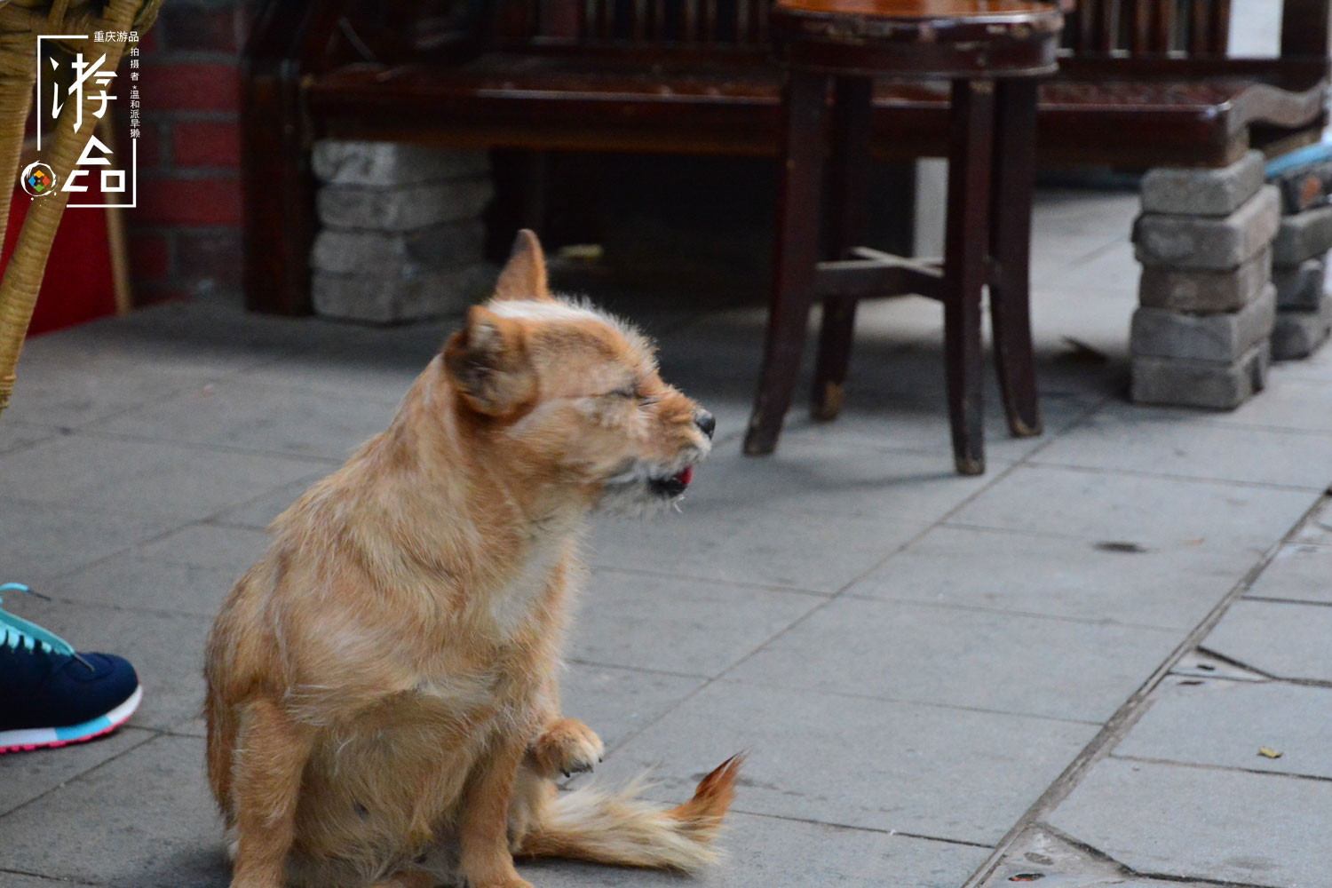 重庆话里的生僻字：“潽”出杯子的水，到处“羾”的小娃儿