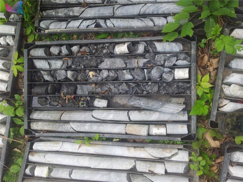 有哪些元素可能你以后再也见不到了？