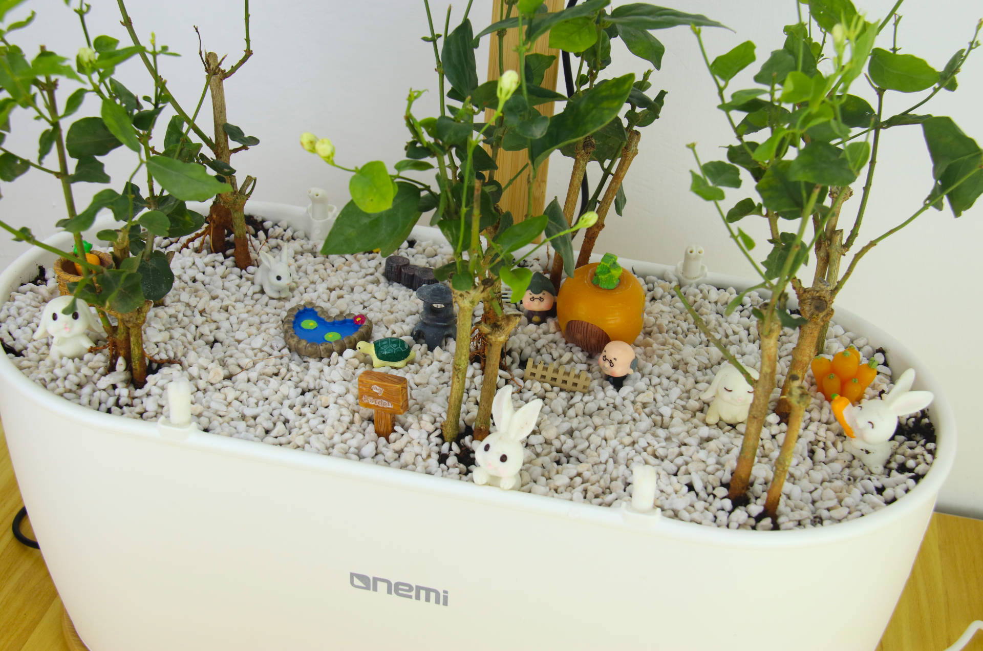 种植可以很简单，一米田智能种植伴侣，从今天起做个幸福的人