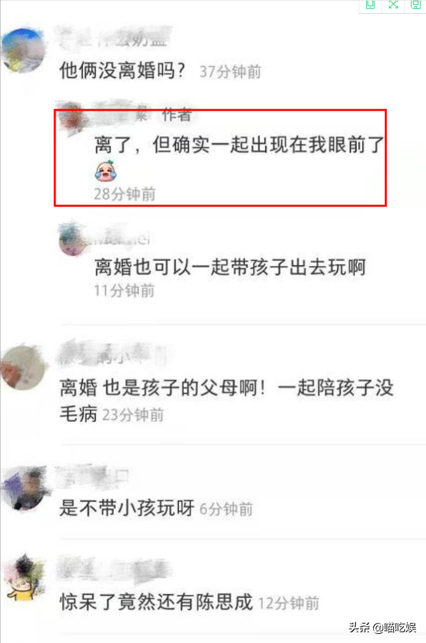 佟丽娅离婚后带儿子逛环球影城，网友拍到陈思诚身影：的确是他