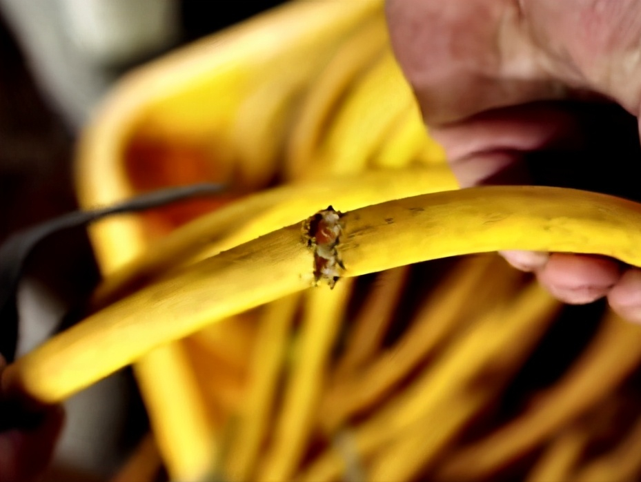 �����ٷ�Ϊ����ֹ��Ԯ���Ϻ����̾��̳����ࣿ������Խ�ŲҰ�����