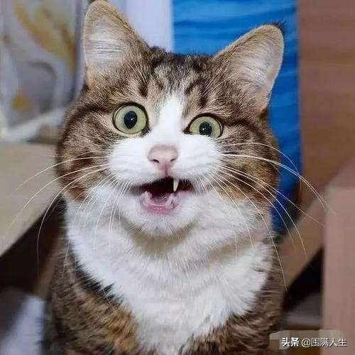 为什么《创造营2020》最最最尴尬？张艺凡卡7后的反应大合集