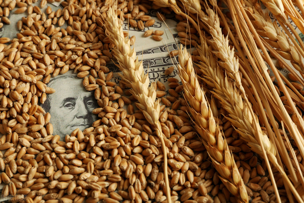 全球粮价连涨9月，创7年新高，抢粮大战激烈，中国人的饭碗稳吗