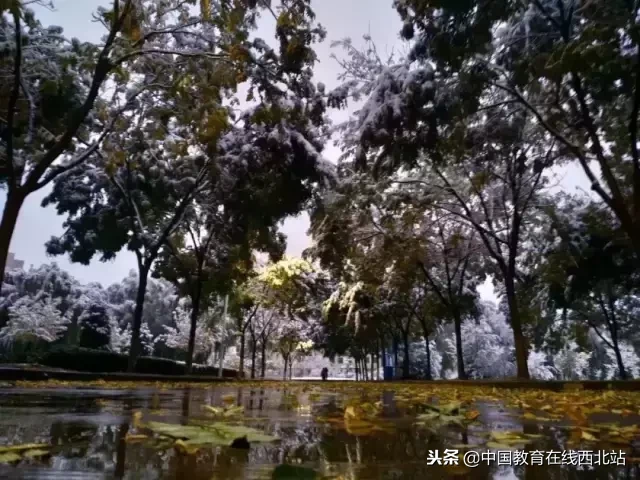 甘肃初雪|甘肃18所高校初学雪景大PK,快来看看有你的母校没?