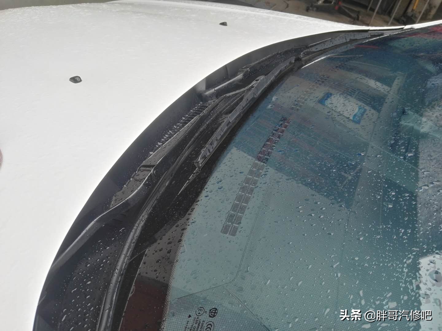 图片[15]_集雨板10元翻新 喷完和新车一样 效果大家说了算_5a汽车网