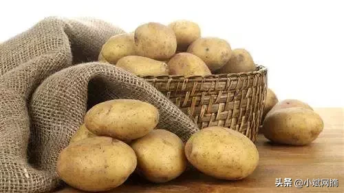 吃土豆的4大禁忌，不注意可能会中毒！
