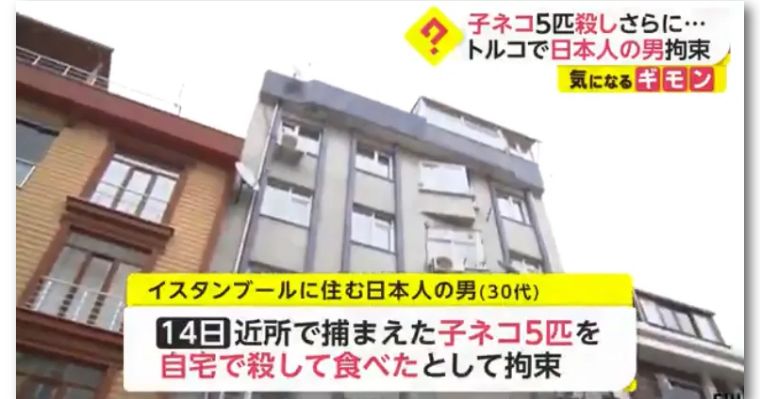 日本男子在土耳其杀猫吃被逮捕，辩称是日本习俗，结果日网民炸了