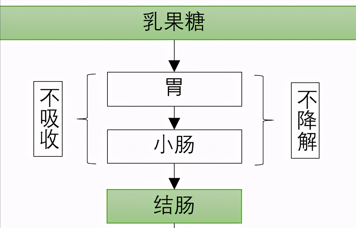 糖尿病患者便秘了，医生能开乳果糖口服溶液吗？