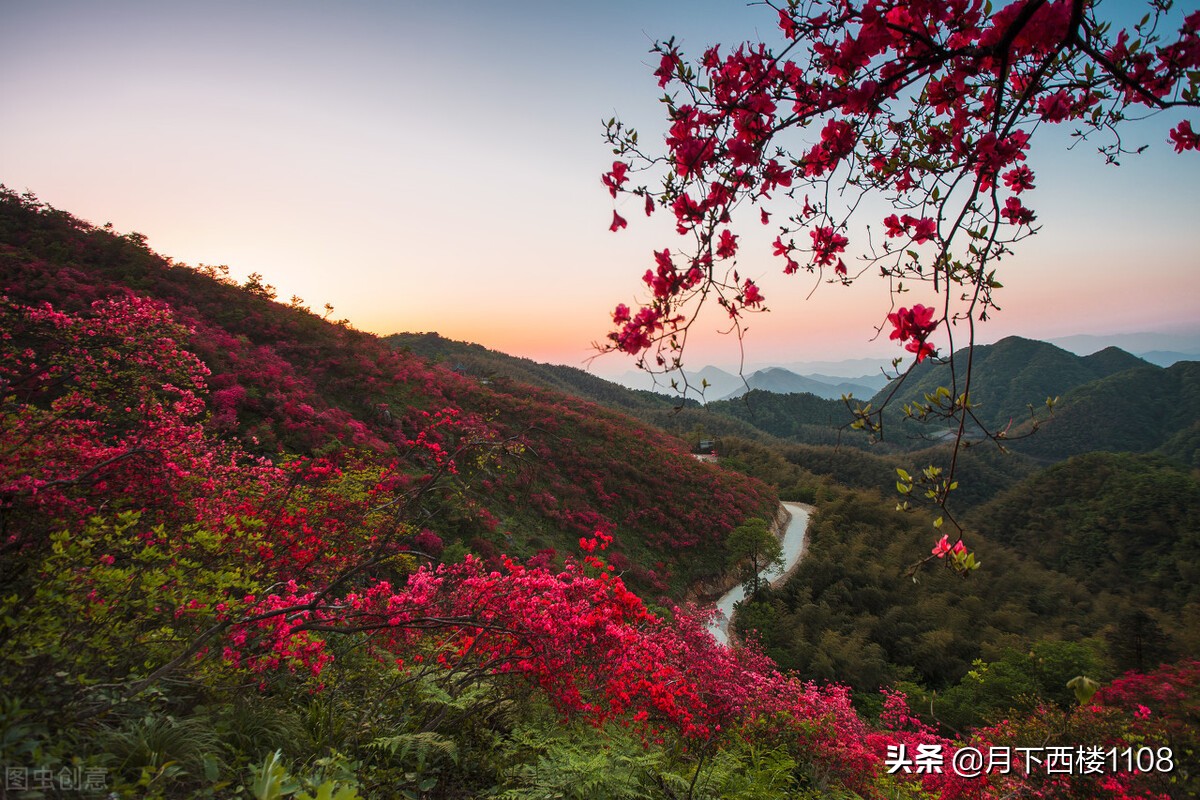 湖南常宁：又是一年春好景，美丽经济助力乡村振兴！