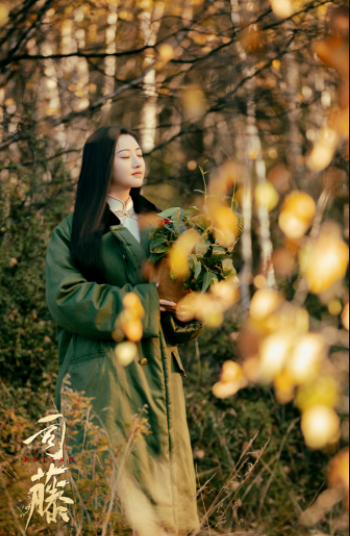 网剧《司藤》：77年后司藤复活，不过是白英的一