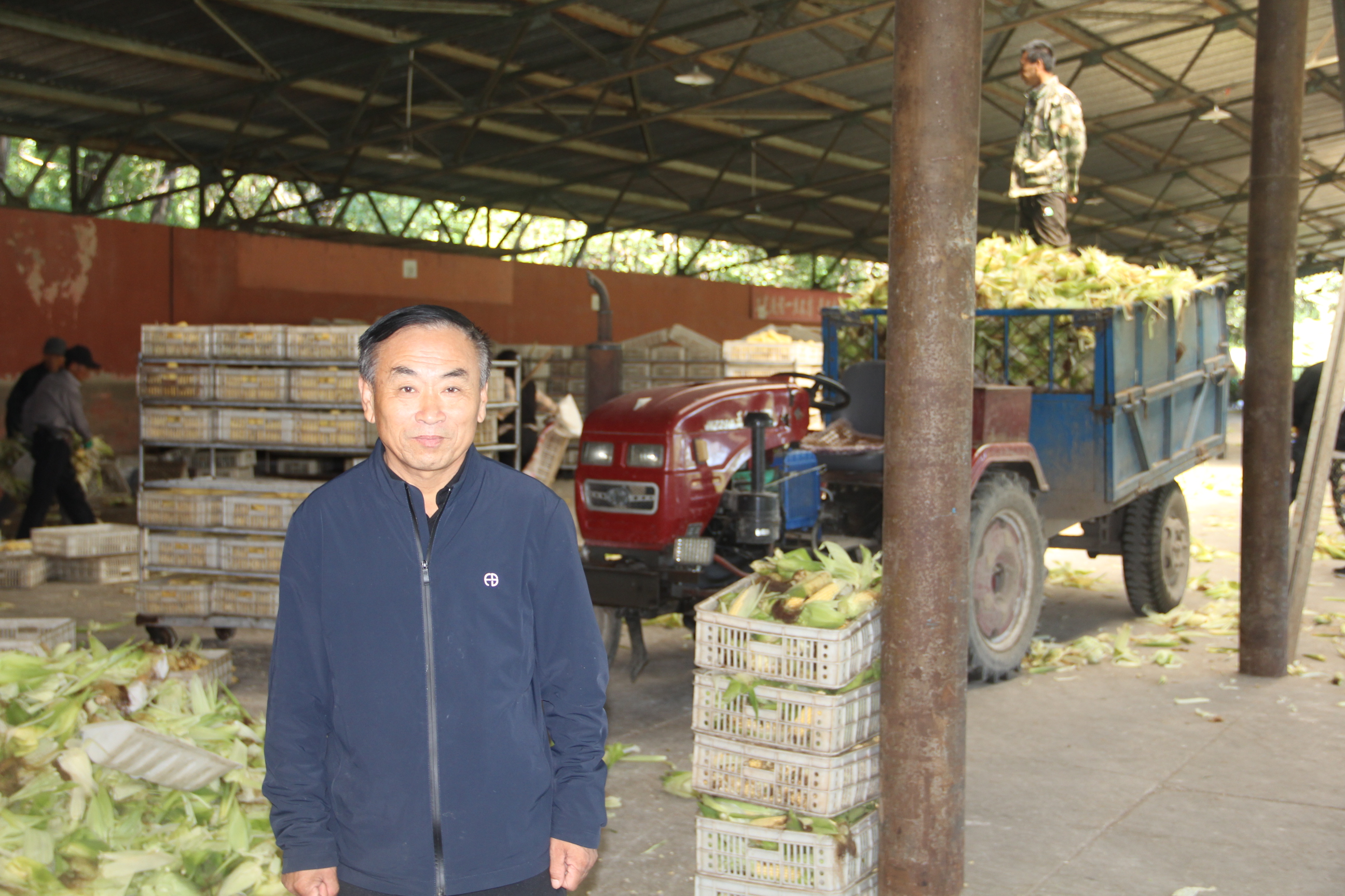 飘香粘玉米 绿色好生活——九台区兴农粘玉米农民专业合作社