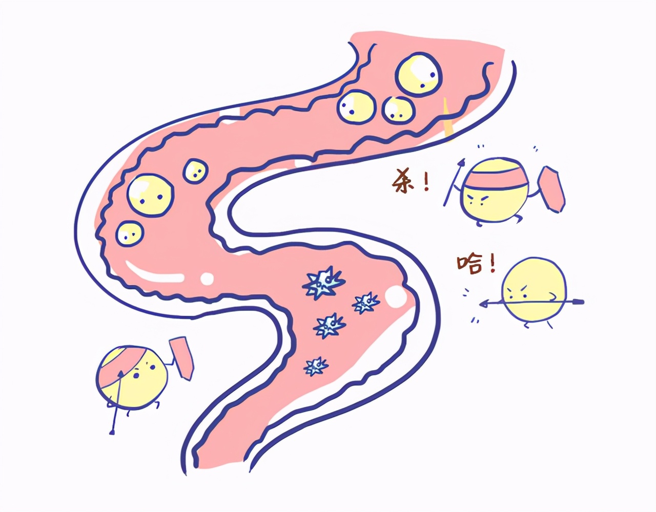 肠道敏感人群，这些肠道信号千万别忽视