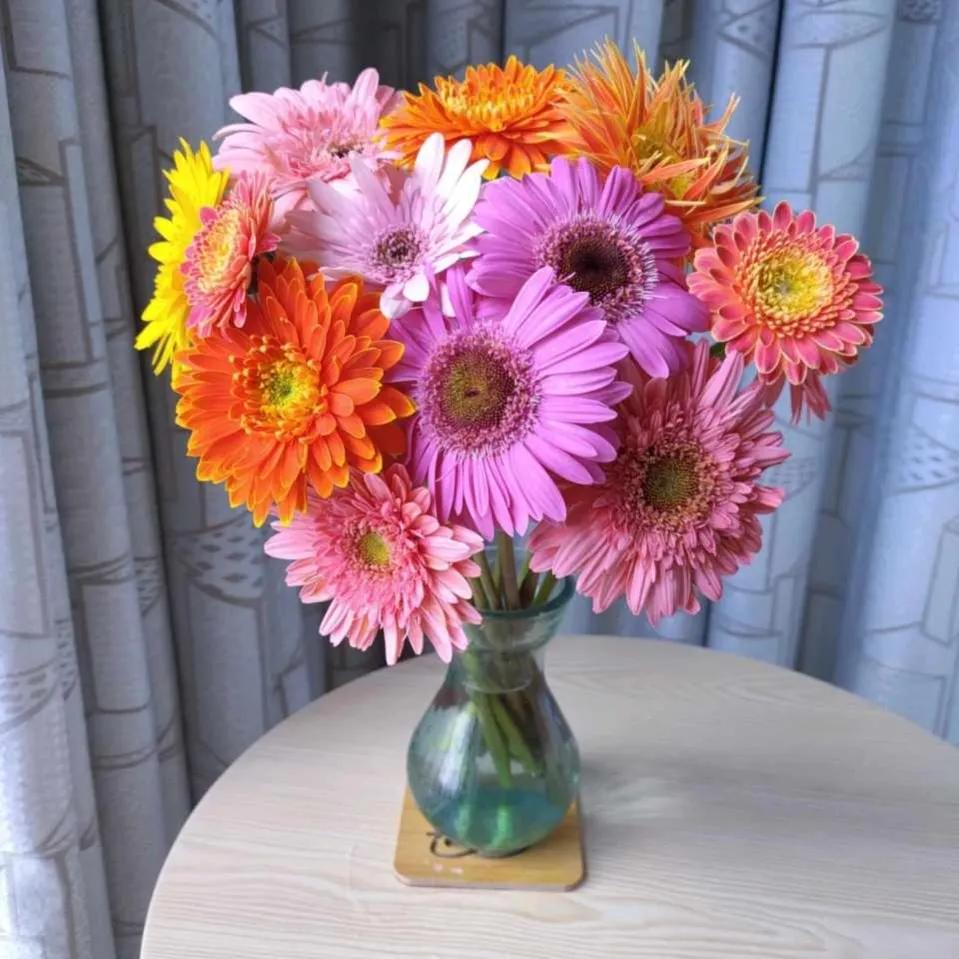 These "unpopular" flowers do not lose to celebrity" flowers, put