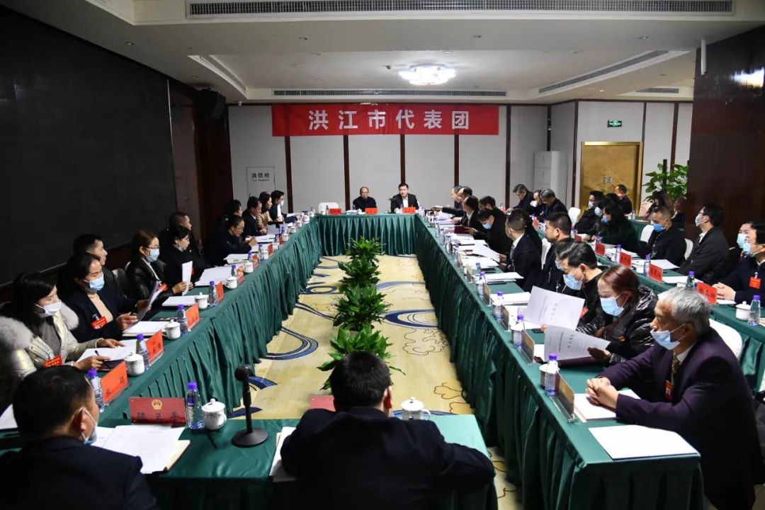 【图片新闻】市五届人大五次会议各代表团举行分组讨论