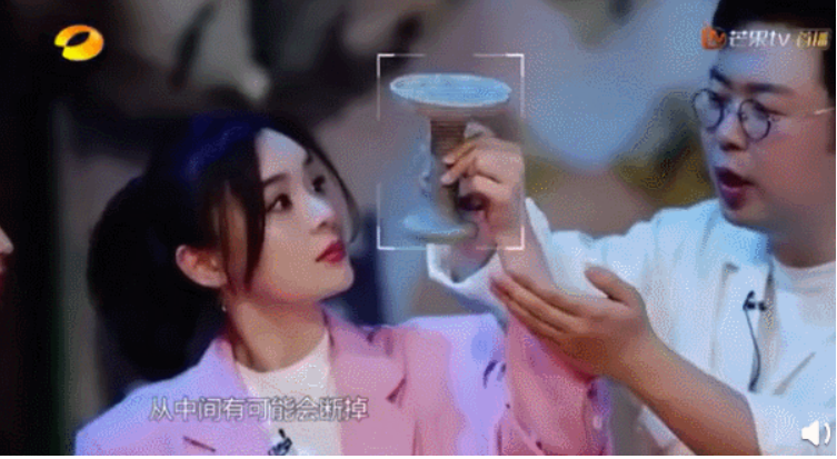 袁姗姗上综艺