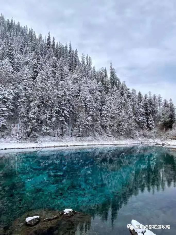 人均仅800九寨沟三日游旅游报价来了