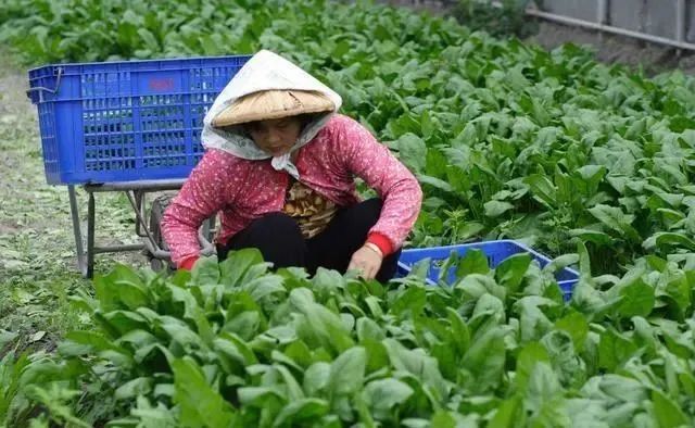 我国加快智能农机应用与推广；外媒：未来10年中