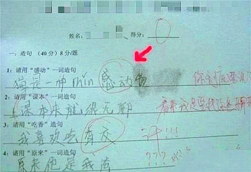 小学生考试得“0分”，班主任阅卷差点崩溃，网友：老师辛苦你了