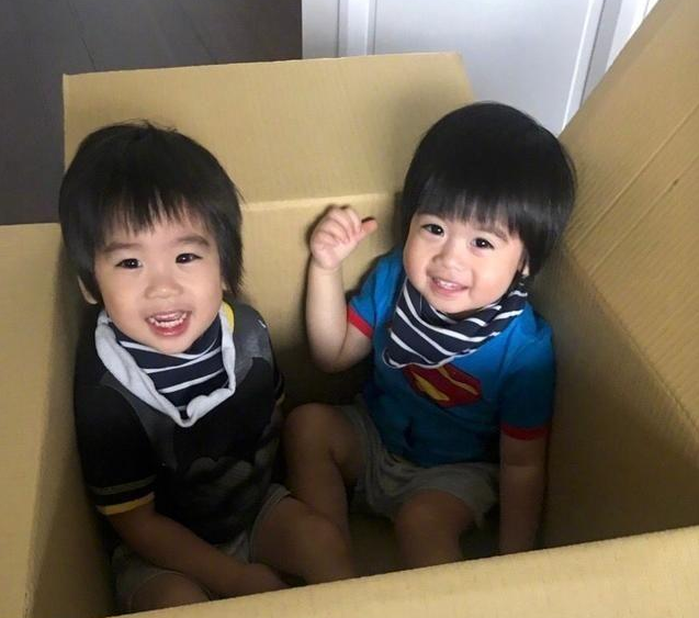 林志穎曬雙胞胎兒子野餐照，兄弟倆顏值差異引熱議：是假雙胞胎吧