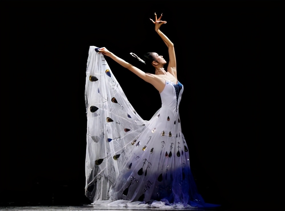 杨丽萍陪客拿空碗做样被批做作，20年不吃饭的她