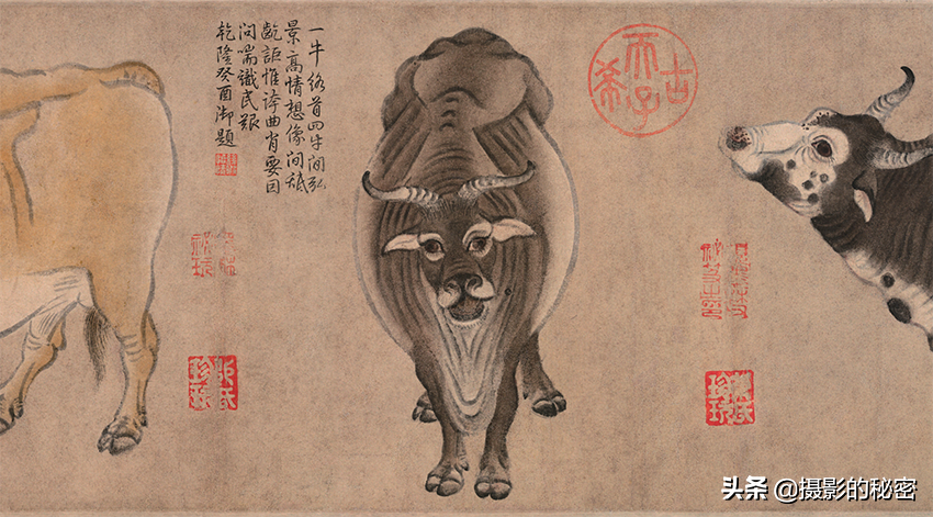画中话06中国最早的纸本画五牛图究竟有多牛