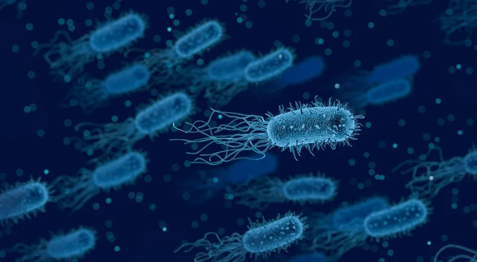 微生物那些事儿：坏病毒坏细菌要防范和好细菌得好好养着！