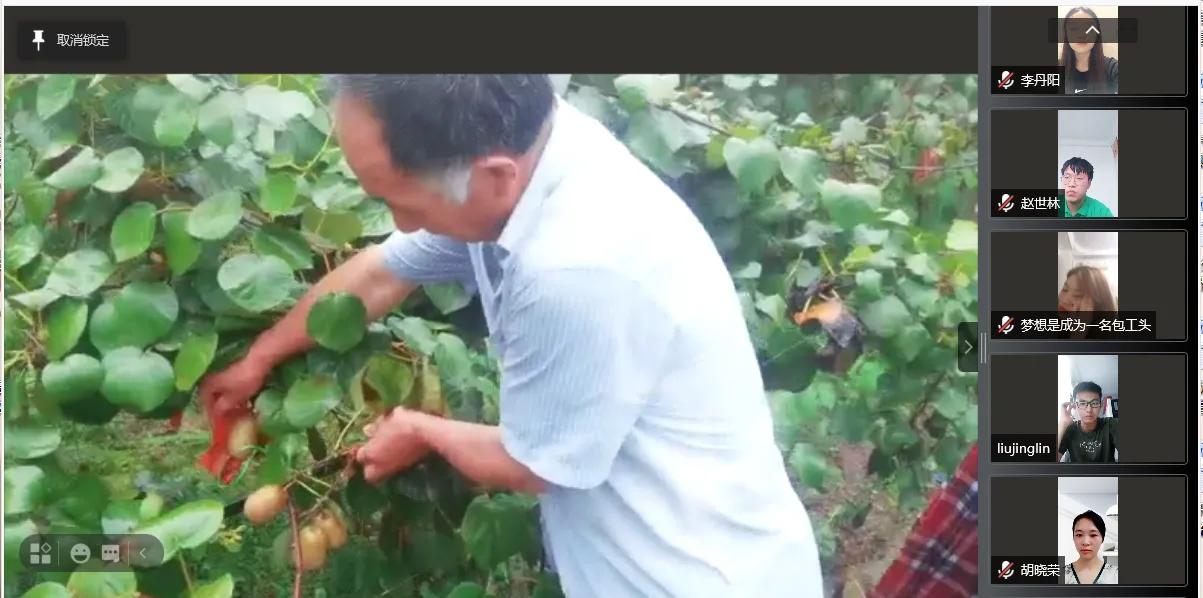 “盛夏燃梦”，小小猕猴桃竟能撬动乡村振兴