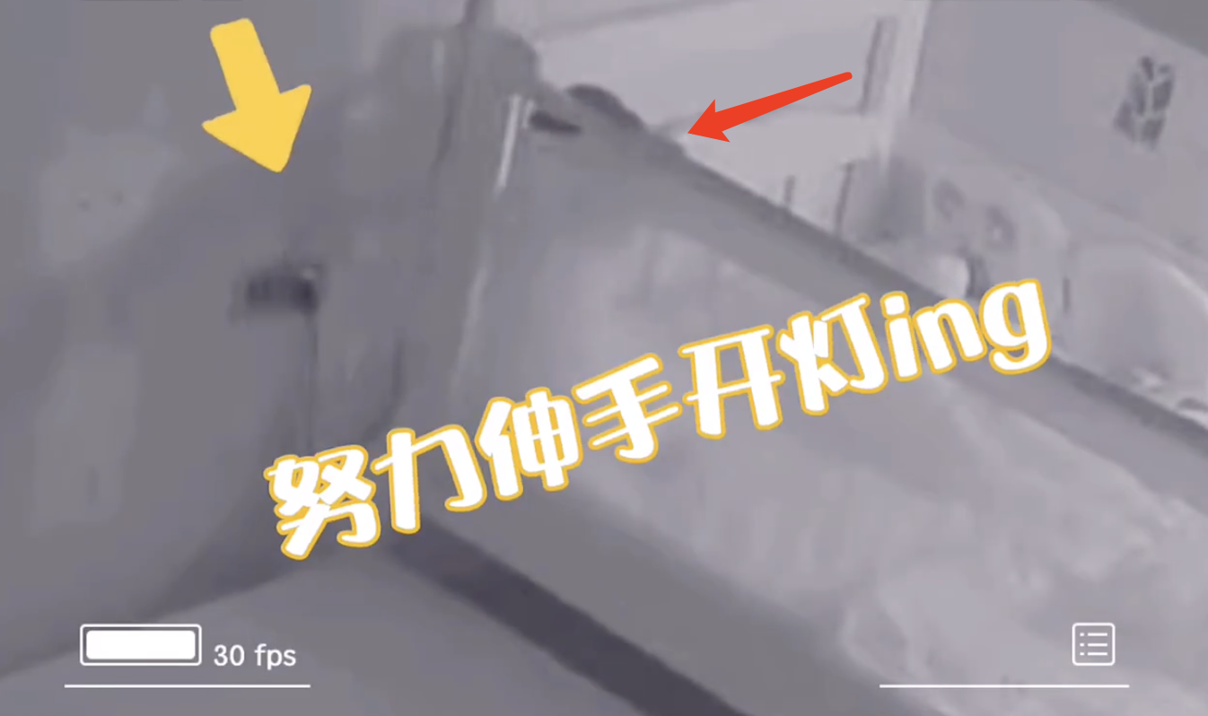 安以轩2岁儿子再“越狱”，翻出床围还将门反锁，沉着应对超淡定