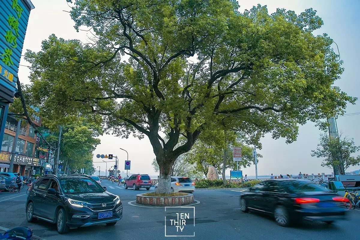 羡慕每个住过风光村的人，毕竟这是武汉最接近