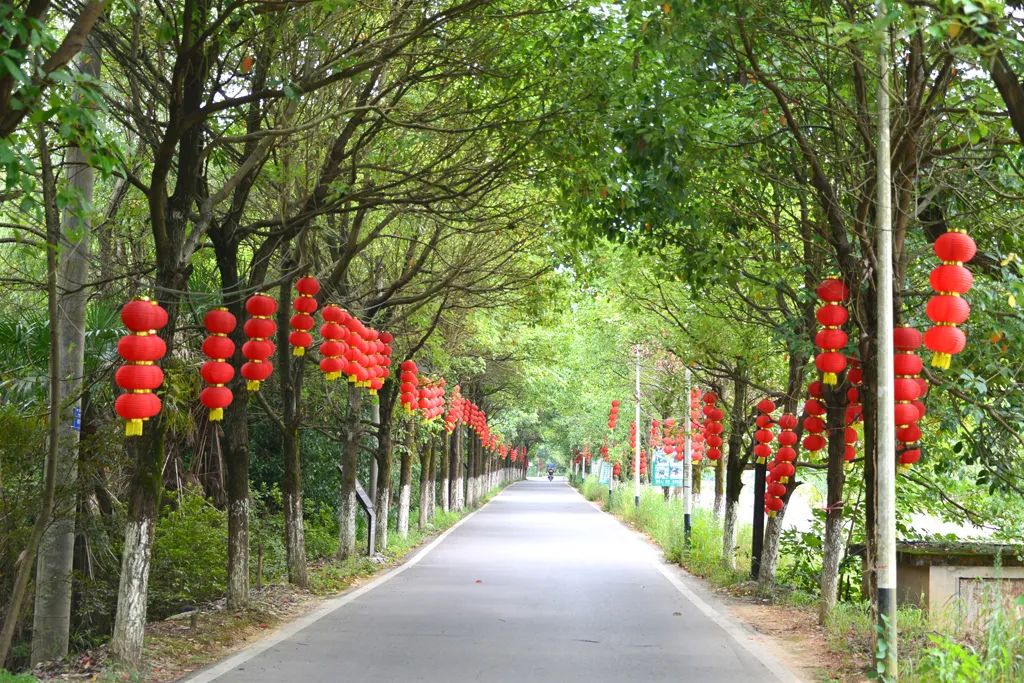 黄秀佳：返乡创业十八载 昔日穷村变景区