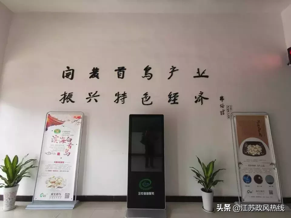 调查:滨海白首乌种植面积锐减八成,有国字头商标却打不开市场