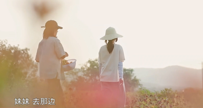 任嘉伦参加《向往的生活4》，一个举动显人品，