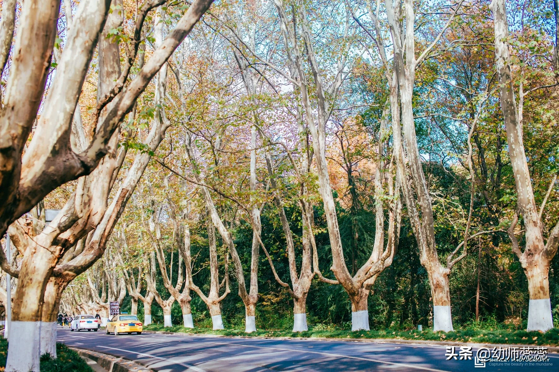 中国最霸气的省，人均GDP全国第一，13个地级市都