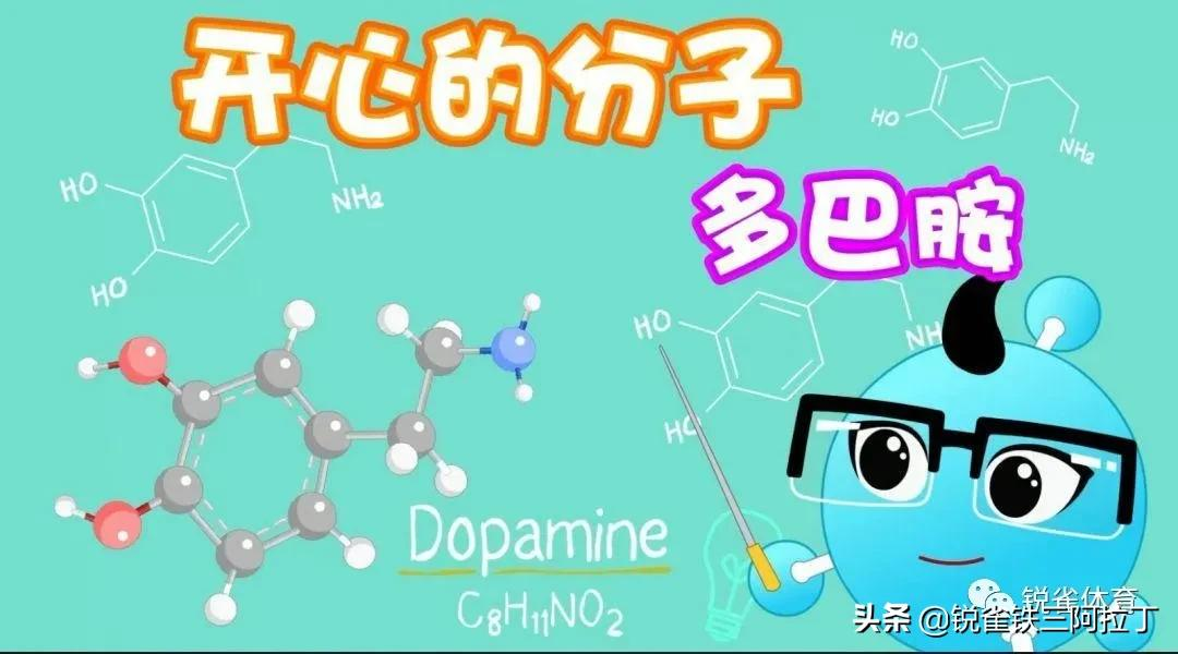 体内激素是如何指挥你运动的