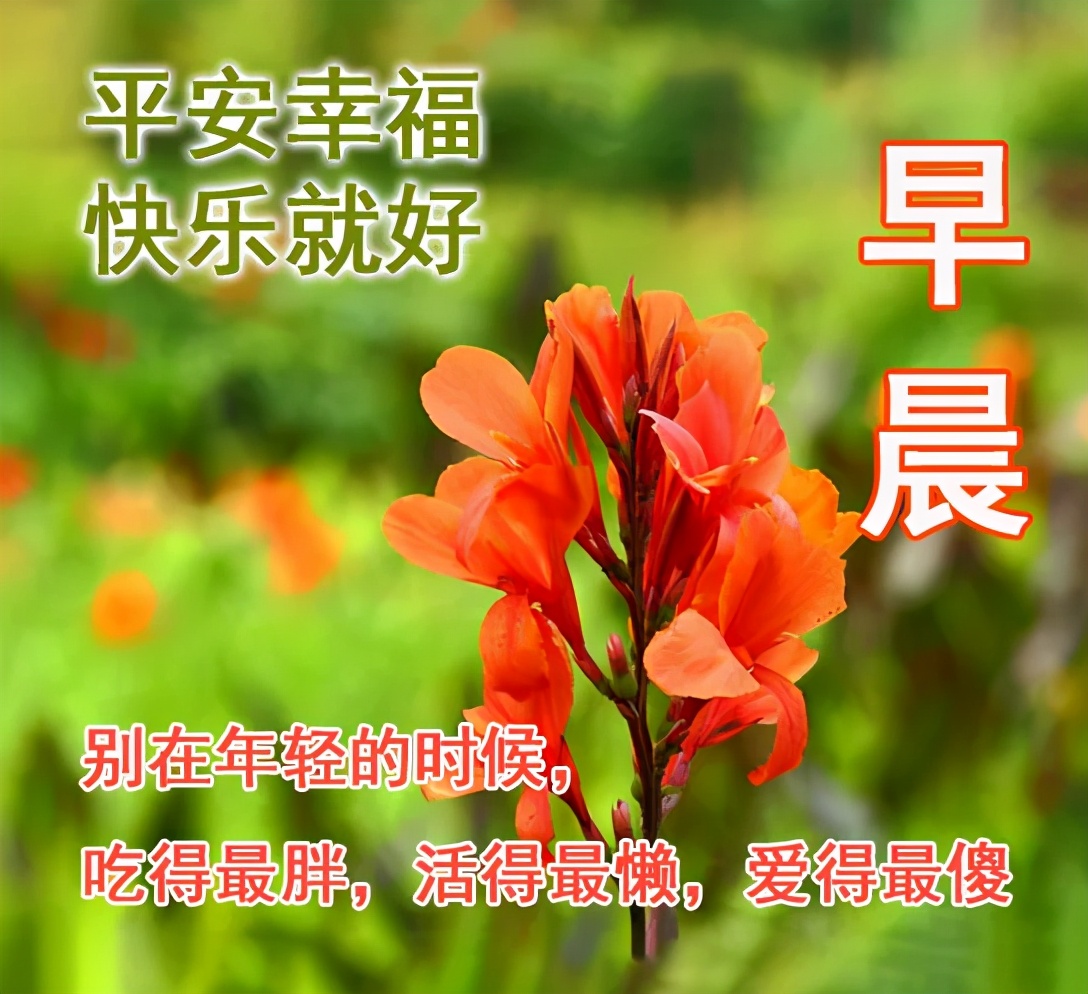 适合恋人早安心语  早上早上好图片漂亮祝福图片