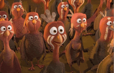 ���� | �����ᣬ�ҳ��ڣ�����첩�������ʦ����ǿ����Ϯ