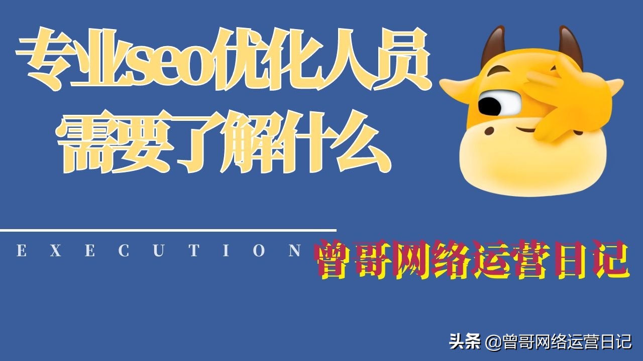 seo是什么意思知乎（seo是什么服）