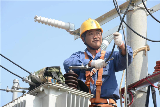 四川眉山：当好“先行官”为乡村振兴添动能