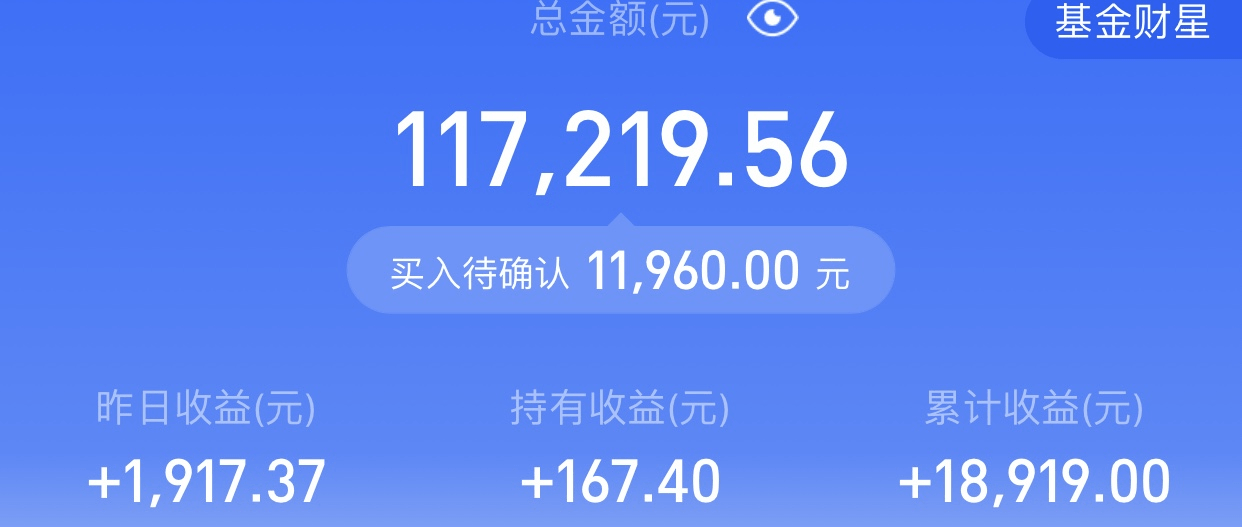 晒我今年亏损前5的基金收益，亏损6900+