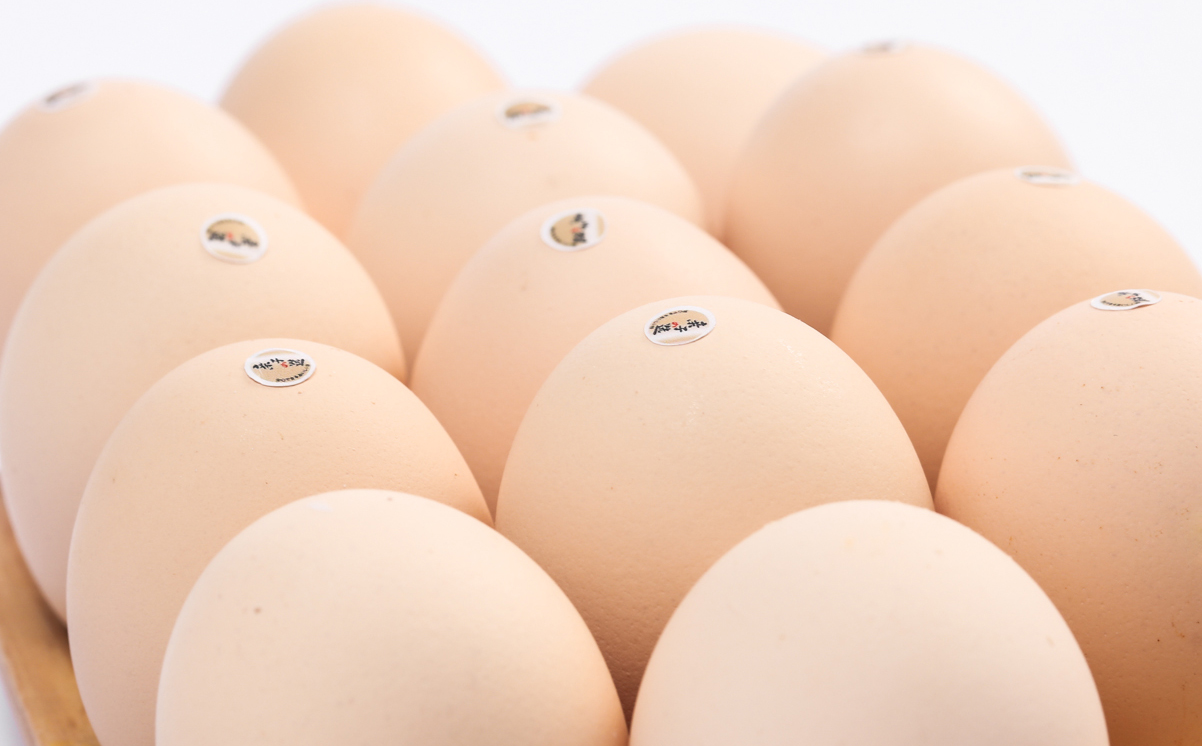 亲子之选鸡蛋采用日式标准 高品质新上市