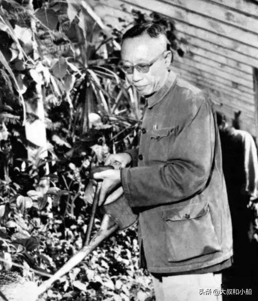 Puyi works as a gardener in the Beijing Botanical Garden: I am often
