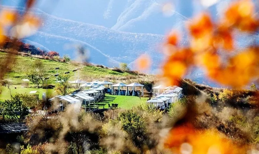 Find the quietness of ancient temples, and enjoy the beautiful scenery of early autumn at Tanzhe Temple and Jietai Temple!