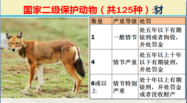 国家最新125类二级野生保护名录，图片及违法对应刑责