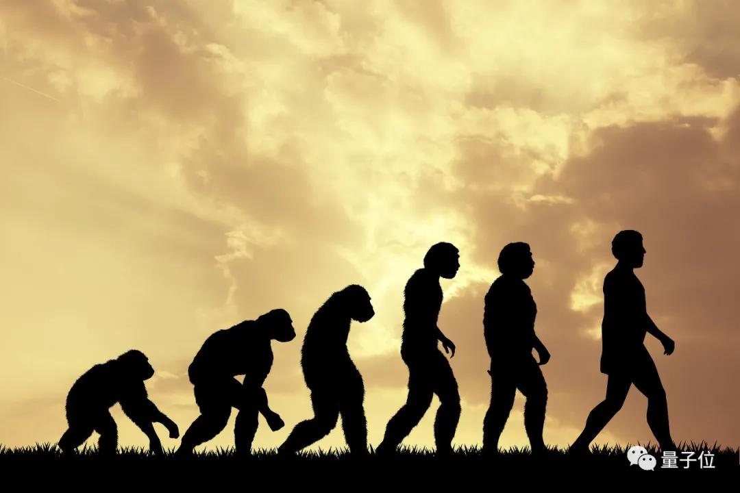 Science：导入了人类特有基因后，猴脑有了进化的趋势