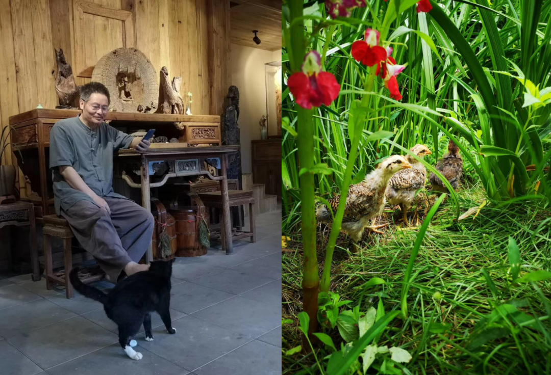 江湖险恶套路深，民宿主如何自岿然不动？